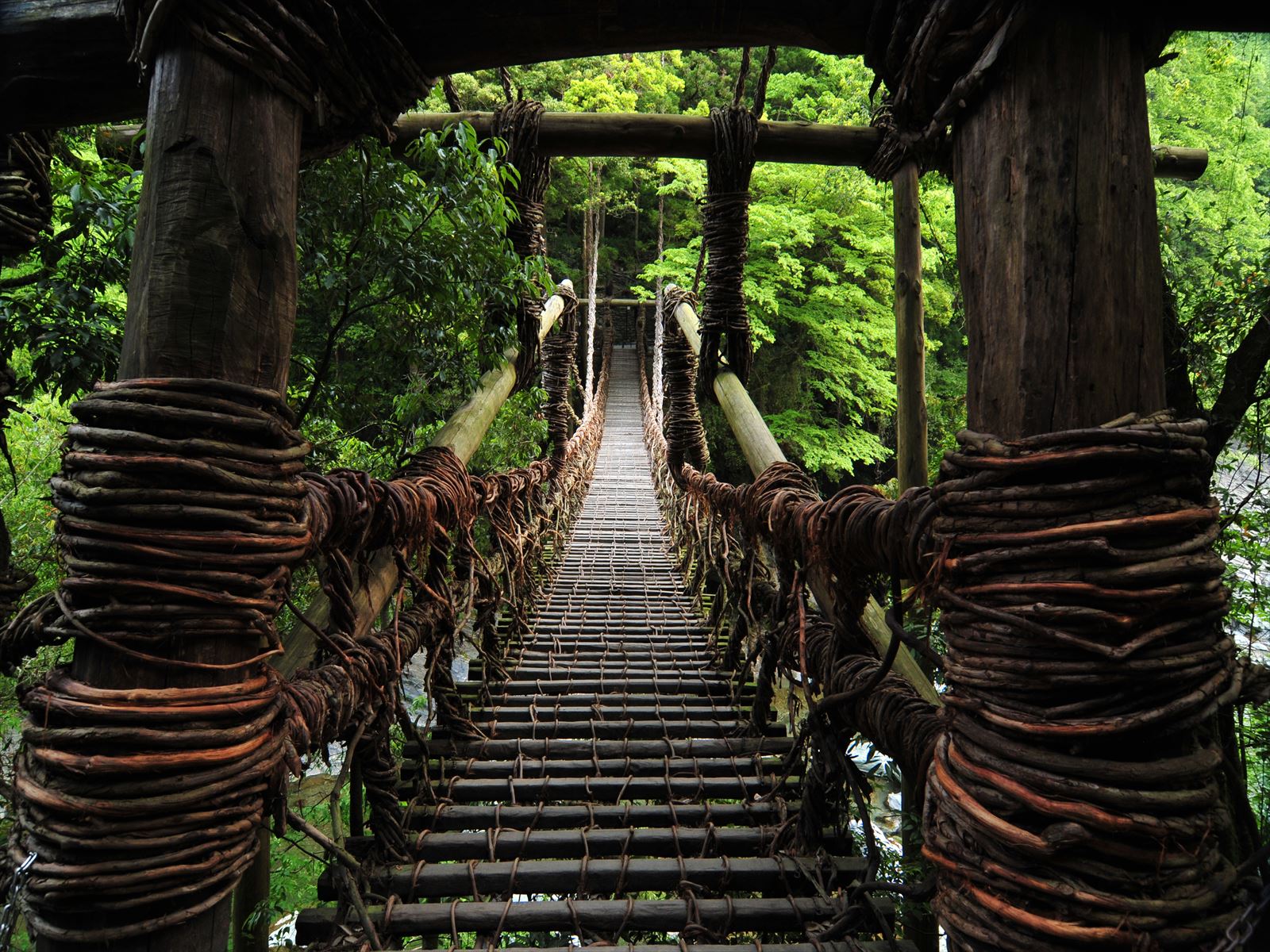 last〒 第１０弾 ご当地フォルムカード 徳島【祖谷のかずら橋】 〒 Amazon | ポストカード ご当地フォルムカード 第10弾 四国セット