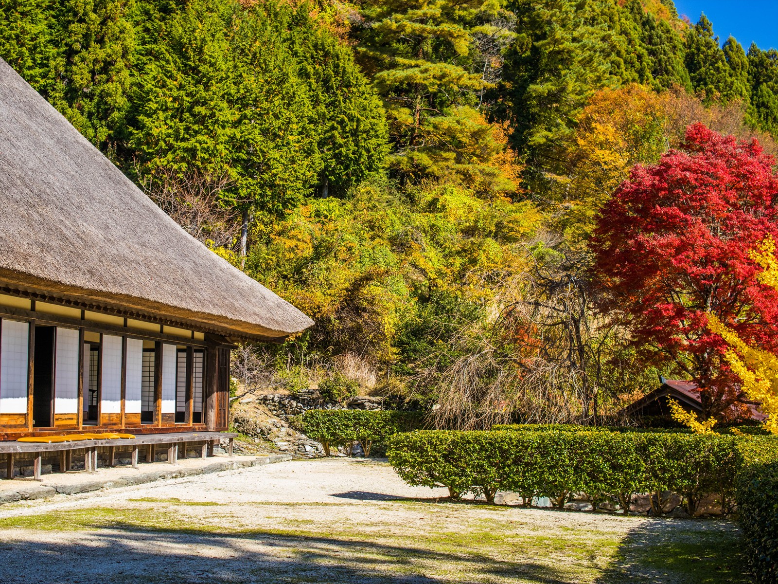 武家屋敷旧喜多家・鉾杉 | にし阿波コンテンツ | にし阿波～剣山