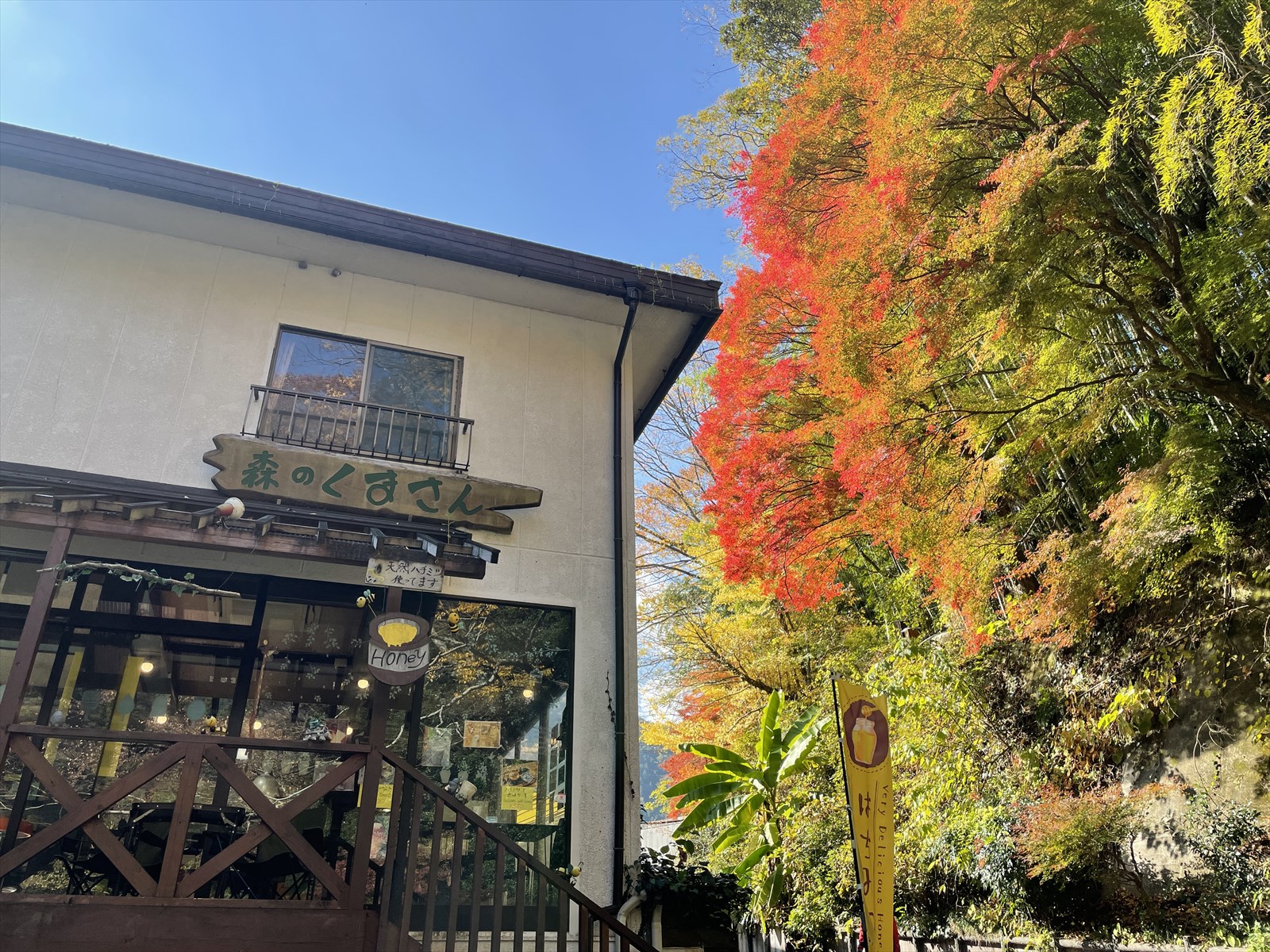 森のくま Amazon.co.jp: くま キュート CUTE 森のくまさん 5サイズセット : おもちゃ