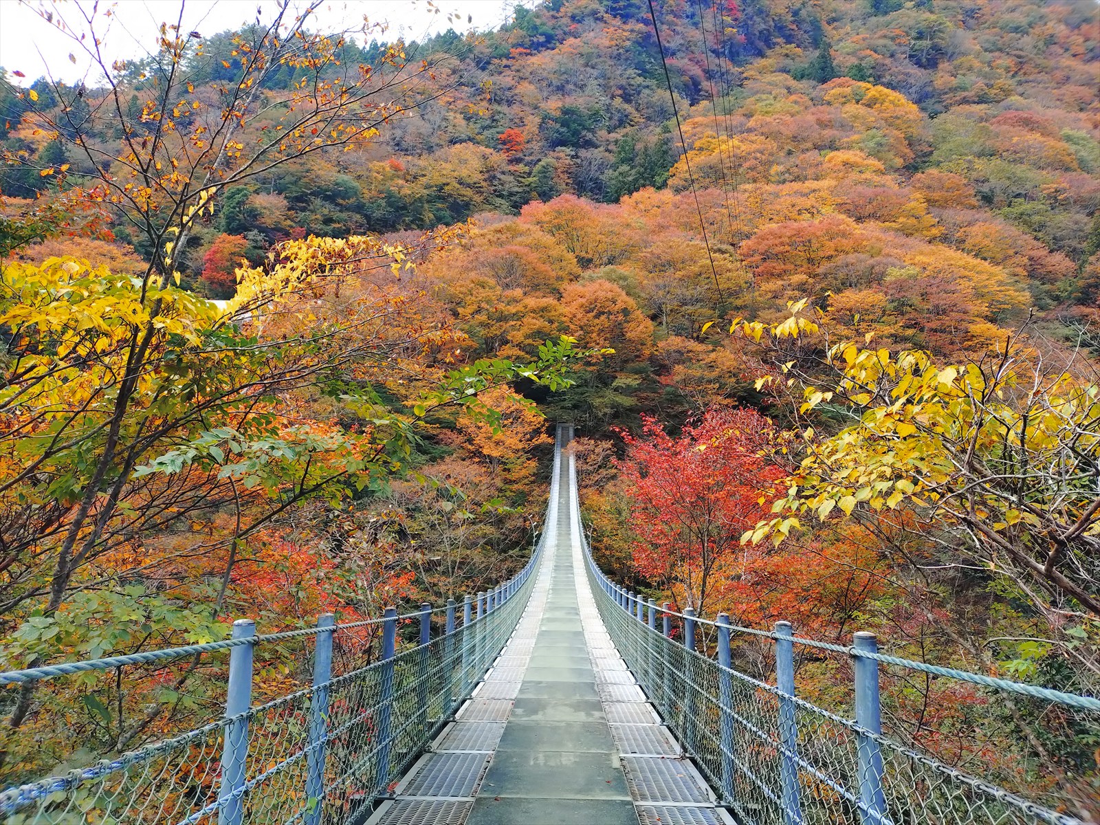 龍宮崖公園 | にし阿波コンテンツ | にし阿波～剣山・吉野川観光圏公式