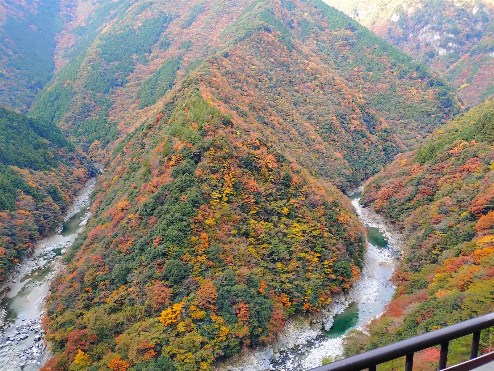 ひの字渓谷 | にし阿波コンテンツ | にし阿波～剣山・吉野川観光圏公式