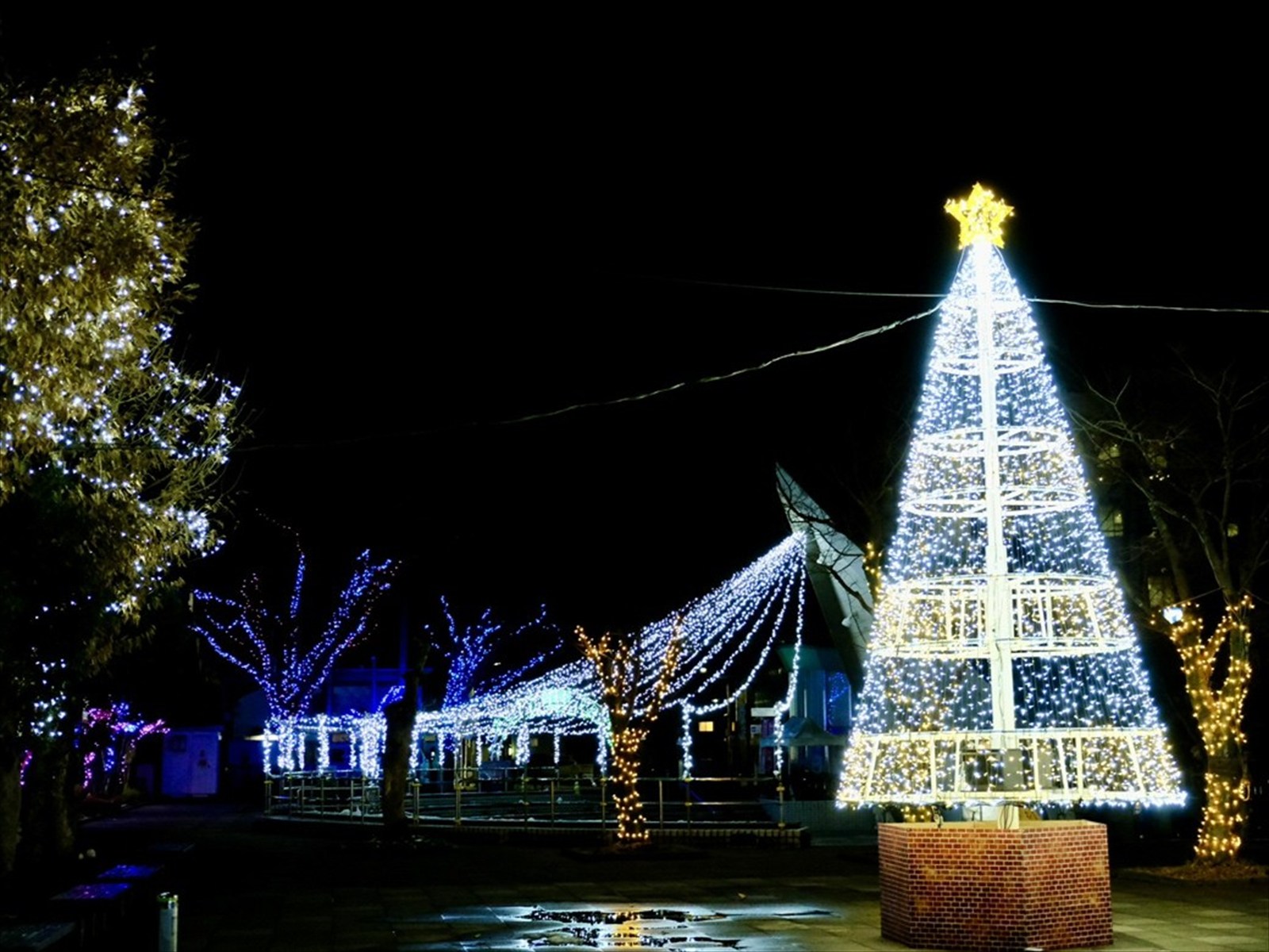 へそっこルミエール ～夢灯イルミネーション【冬季】2025年10月25日